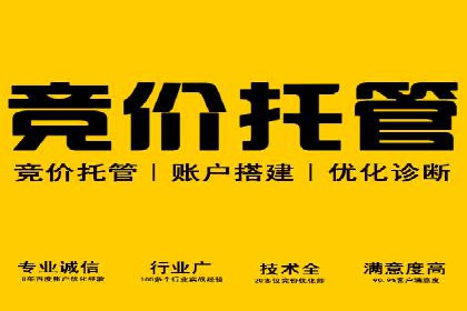 SEM代理助力企业：案例解析与优化技巧